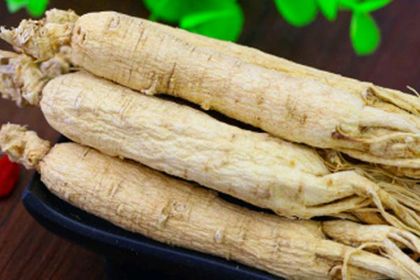 白參對(duì)肝臟有什么好處 白參對(duì)睡眠有幫助嗎 白參對(duì)肝臟有什么好處 白參對(duì)睡眠有幫助嗎