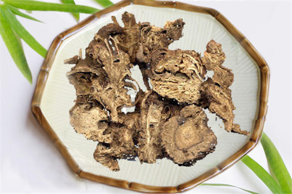 蒼術(shù)可以煲湯嗎 蒼術(shù)的功效和作用 蒼術(shù)可以煲湯嗎 蒼術(shù)的功效和作用