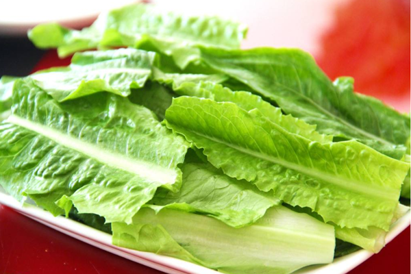 油麥菜的熱量是多少 油麥菜有助于減肥嗎 油麥菜的熱量是多少 油麥菜有助于減肥嗎