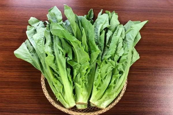 油麥菜有什么營養(yǎng)成分 油麥菜可以多吃嗎 油麥菜有什么營養(yǎng)成分 油麥菜可以多吃嗎