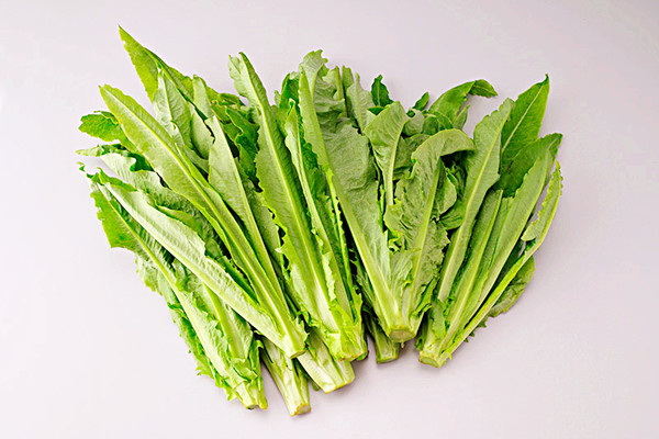 油麥菜有什么營養(yǎng)成分 油麥菜可以多吃嗎 油麥菜有什么營養(yǎng)成分 油麥菜可以多吃嗎