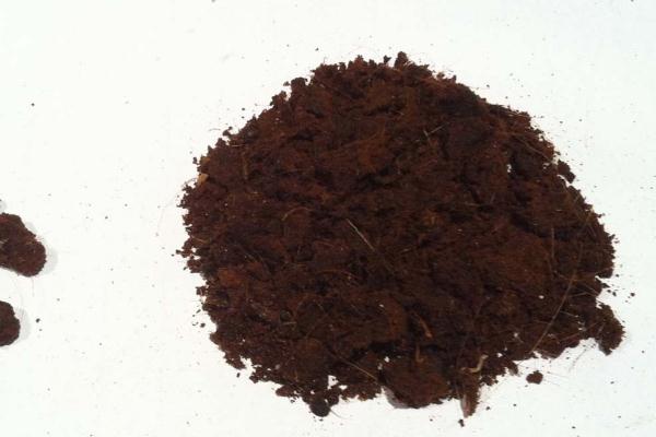 人工麝香會(huì)導(dǎo)致流產(chǎn)嗎 人工麝香對(duì)孕婦有什么危害 人工麝香會(huì)導(dǎo)致流產(chǎn)嗎 人工麝香對(duì)孕婦有什么危害