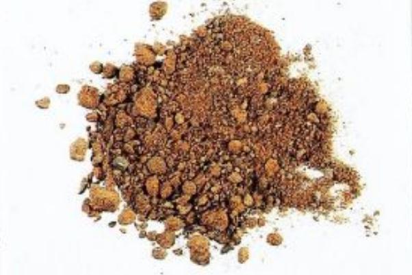 麝香是什么動物身上的 麝香是什么味道 麝香是什么動物身上的 麝香是什么味道