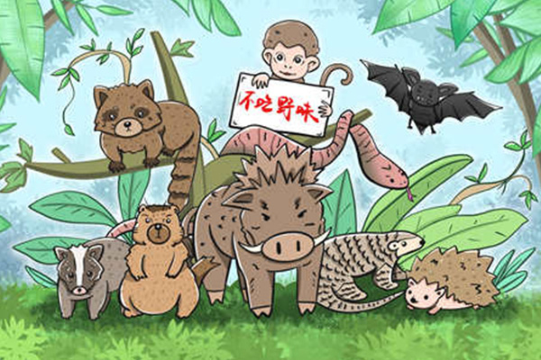 野味指的是什么 野味的危害 野味指的是什么 野味的危害