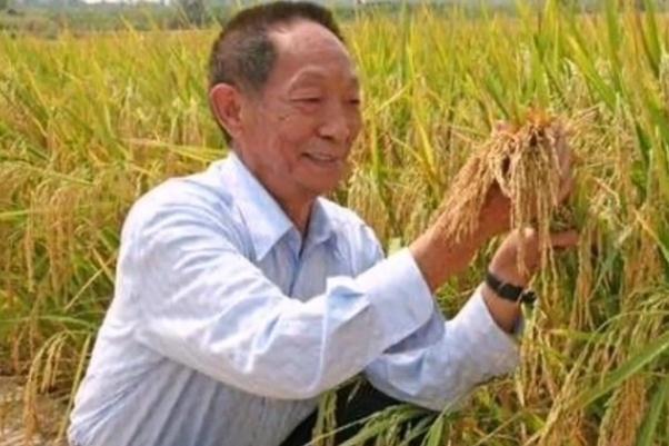 世界糧食日是每年的幾月幾日 世界糧食日的意義 世界糧食日是每年的幾月幾日 世界糧食日的意義