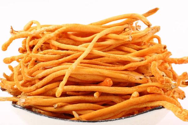 蟲草花的吃法禁忌 蟲草花的用量多少合適 蟲草花的吃法禁忌 蟲草花的用量多少合適