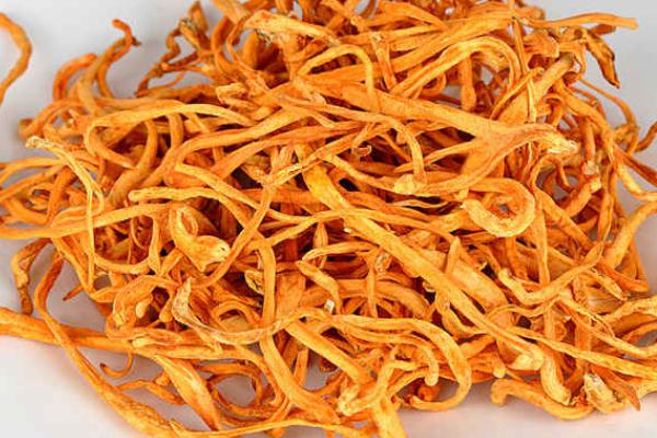 蟲草花哪些人不能吃 蟲草花和什么相克 蟲草花哪些人不能吃 蟲草花和什么相克