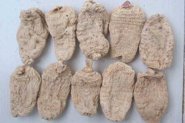 天麻會(huì)不會(huì)上火 天麻會(huì)過期嗎