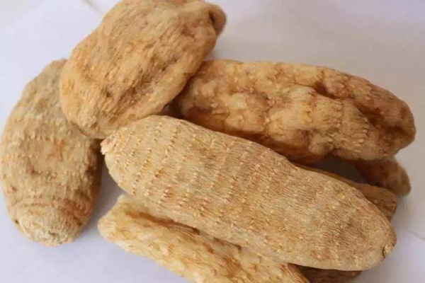 天麻怎么挑選才好 天麻如何保存 天麻怎么挑選才好 天麻如何保存