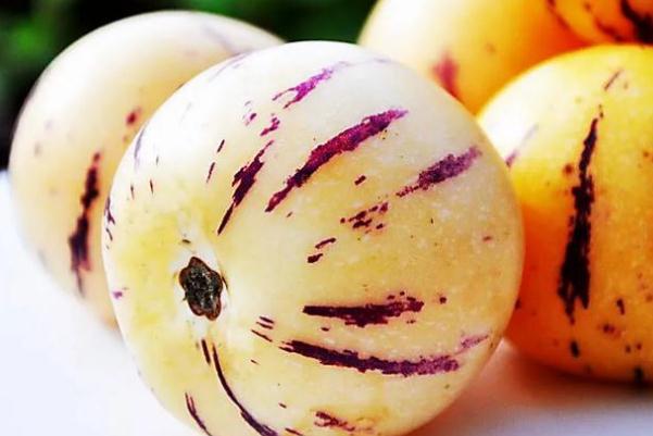 人參果皮能吃嗎 人參果的籽能吃嗎 人參果皮能吃嗎 人參果的籽能吃嗎