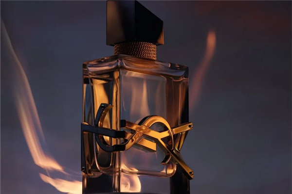 圣羅蘭香水哪款好好聞 圣羅蘭香水屬于什么檔次 圣羅蘭香水哪款好好聞 圣羅蘭香水屬于什么檔次