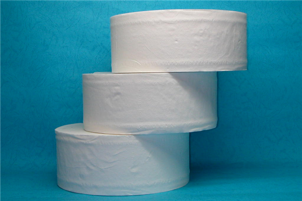 衛(wèi)生紙會生蟲子嗎 衛(wèi)生紙生蟲子還能用嗎 衛(wèi)生紙會生蟲子嗎 衛(wèi)生紙生蟲子還能用嗎