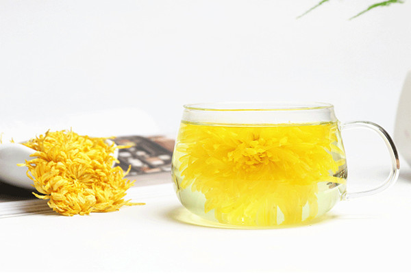 菊花茶什么季節(jié)喝合適 菊花茶什么時(shí)間段喝好 菊花茶什么季節(jié)喝合適 菊花茶什么時(shí)間段喝好