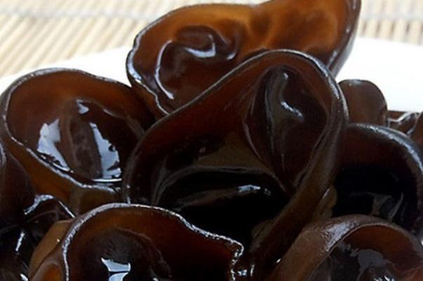 黑木耳煮熟隔夜能吃嗎 黑木耳怎么做才好吃 黑木耳煮熟隔夜能吃嗎 黑木耳怎么做才好吃