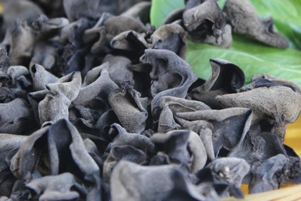 黑木耳會上火嗎 黑木耳上火還是下火 黑木耳會上火嗎 黑木耳上火還是下火