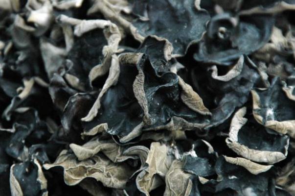 黑木耳會上火嗎 黑木耳上火還是下火 黑木耳會上火嗎 黑木耳上火還是下火