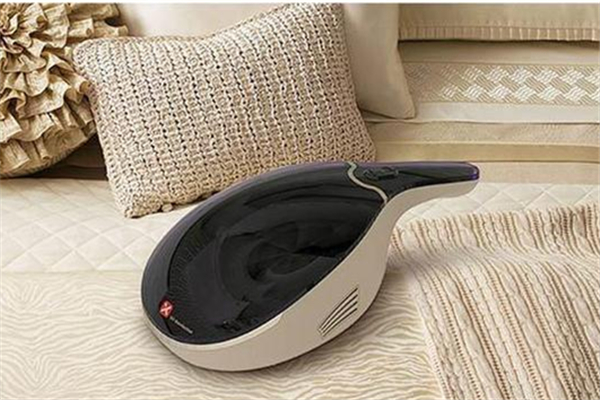 除螨儀和除螨噴霧哪個效果好 除螨儀什么牌子最專業(yè) 除螨儀和除螨噴霧哪個效果好 除螨儀什么牌子最專業(yè)