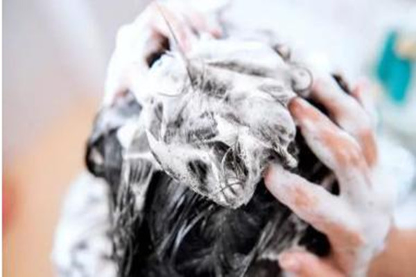 鹽水洗頭能治脫發(fā)嗎 鹽水洗頭的好處 鹽水洗頭能治脫發(fā)嗎 鹽水洗頭的好處