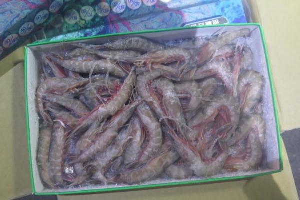 海鮮有營養(yǎng)嗎 海鮮有保質(zhì)期嗎 海鮮有營養(yǎng)嗎 海鮮有保質(zhì)期嗎