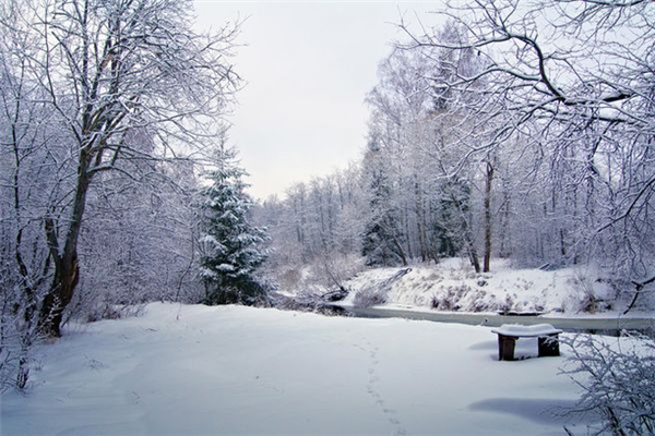 冬季補(bǔ)什么的好季節(jié) 冬季是補(bǔ)陽氣還是補(bǔ)陰 冬季補(bǔ)什么的好季節(jié) 冬季是補(bǔ)陽氣還是補(bǔ)陰