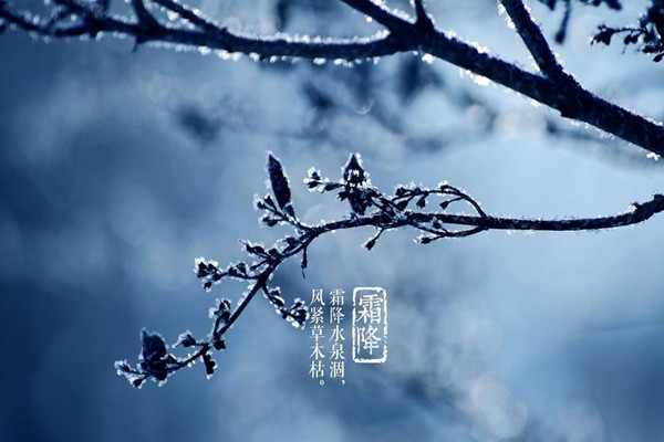 霜降是第幾個(gè)節(jié)氣 霜降意味著什么 霜降是第幾個(gè)節(jié)氣 霜降意味著什么