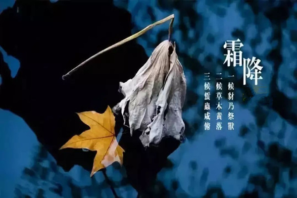 霜降一定會下霜嗎 霜降溫度大約是多少 霜降一定會下霜嗎 霜降溫度大約是多少