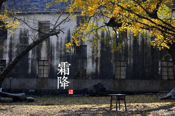 霜降一定會下霜嗎 霜降溫度大約是多少 霜降一定會下霜嗎 霜降溫度大約是多少