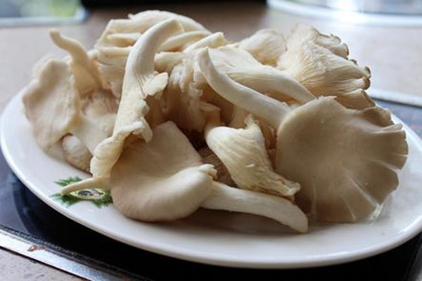 平菇的熱量高嗎 平菇減肥期間可以吃嗎 平菇的熱量高嗎 平菇減肥期間可以吃嗎