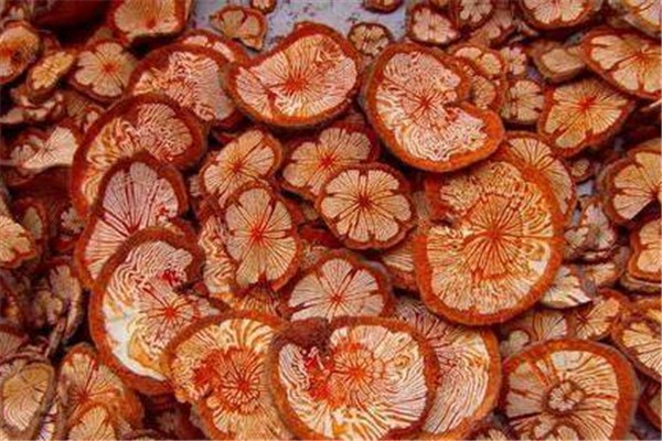 大血藤是不是雞血藤 大血藤和雞血藤的區(qū)別 大血藤是不是雞血藤 大血藤和雞血藤的區(qū)別