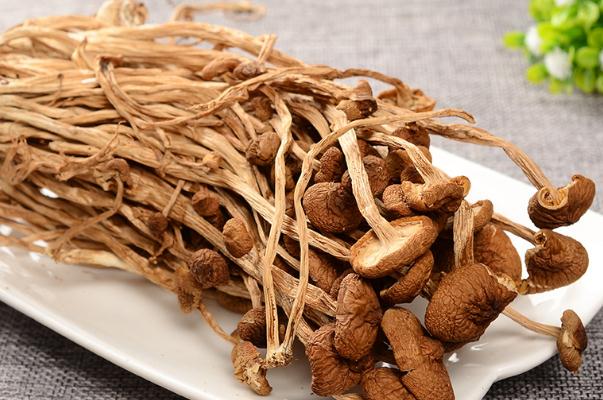 茶樹(shù)菇可以隔夜吃嗎 茶樹(shù)菇可以保存多久