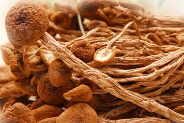 茶樹菇要洗嗎 茶樹菇有點(diǎn)發(fā)霉了還能吃嗎 茶樹菇要洗嗎 茶樹菇有點(diǎn)發(fā)霉了還能吃嗎