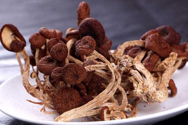 茶樹(shù)菇可以隔夜吃嗎 茶樹(shù)菇可以保存多久