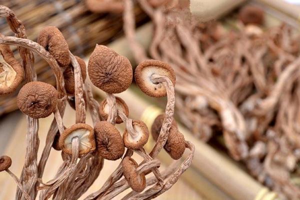 茶樹菇要洗嗎 茶樹菇有點(diǎn)發(fā)霉了還能吃嗎 茶樹菇要洗嗎 茶樹菇有點(diǎn)發(fā)霉了還能吃嗎