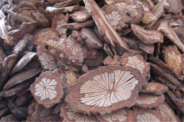 大血藤對(duì)孕婦有影響嗎 大血藤的禁忌人群 大血藤對(duì)孕婦有影響嗎 大血藤的禁忌人群