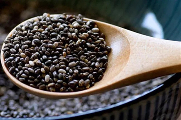 奇亞籽是獼猴桃籽嗎 奇亞籽是什么樹的種子 奇亞籽是獼猴桃籽嗎 奇亞籽是什么樹的種子