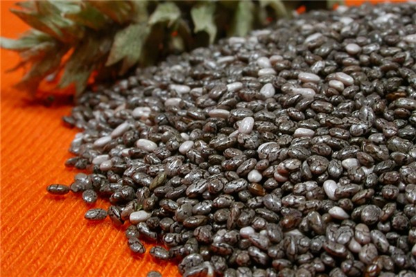 奇亞籽用酸奶泡可以嗎 奇亞籽用酸奶泡多久 奇亞籽用酸奶泡可以嗎 奇亞籽用酸奶泡多久