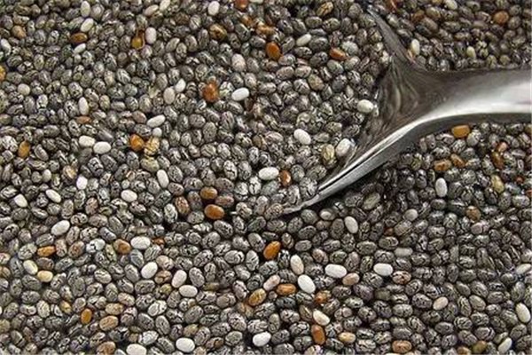 奇亞籽可以改善便秘嗎 奇亞籽對(duì)便秘有效果嗎 奇亞籽可以改善便秘嗎 奇亞籽對(duì)便秘有效果嗎