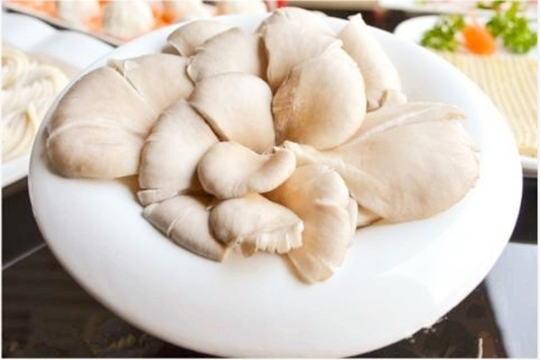 平菇發(fā)粘還能吃嗎 平菇背面長疙瘩能吃嗎 平菇發(fā)粘還能吃嗎 平菇背面長疙瘩能吃嗎