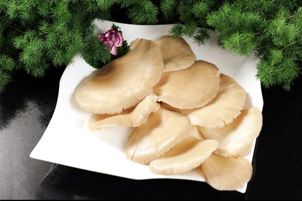 平菇發(fā)粘還能吃嗎 平菇背面長疙瘩能吃嗎 平菇發(fā)粘還能吃嗎 平菇背面長疙瘩能吃嗎