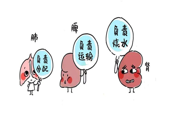 氣血不足會(huì)導(dǎo)致脫發(fā)嗎 氣血不足對(duì)身體造成哪些影響 氣血不足會(huì)導(dǎo)致脫發(fā)嗎 氣血不足對(duì)身體造成哪些影響