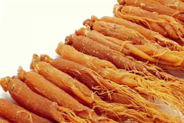 紅參可以泡水喝嗎 紅參能天天泡水喝嗎 紅參可以泡水喝嗎 紅參能天天泡水喝嗎