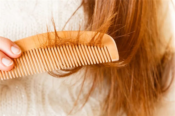 頭發(fā)有分叉會不會影響頭發(fā)的生長 頭發(fā)有分叉的原因 頭發(fā)有分叉會不會影響頭發(fā)的生長 頭發(fā)有分叉的原因