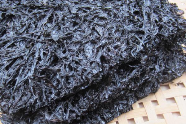 紫菜是寒性食物嗎 紫菜屬于哪種藻類 紫菜是寒性食物嗎 紫菜屬于哪種藻類
