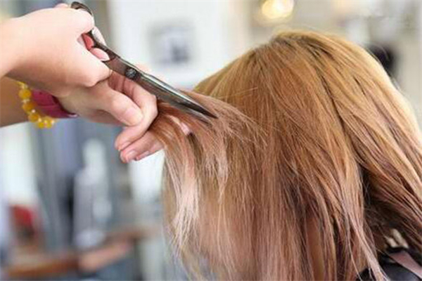 頭發(fā)分叉剪掉有用嗎 頭發(fā)分叉剪了還分叉嗎 頭發(fā)分叉剪掉有用嗎 頭發(fā)分叉剪了還分叉嗎