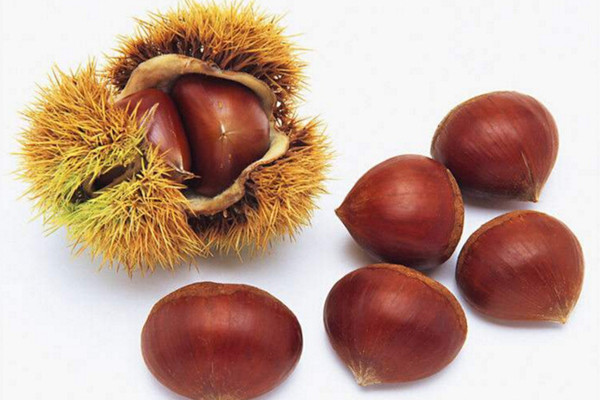 板栗的營(yíng)養(yǎng)價(jià)值高嗎 板栗對(duì)身體有哪些好處 板栗的營(yíng)養(yǎng)價(jià)值高嗎 板栗對(duì)身體有哪些好處