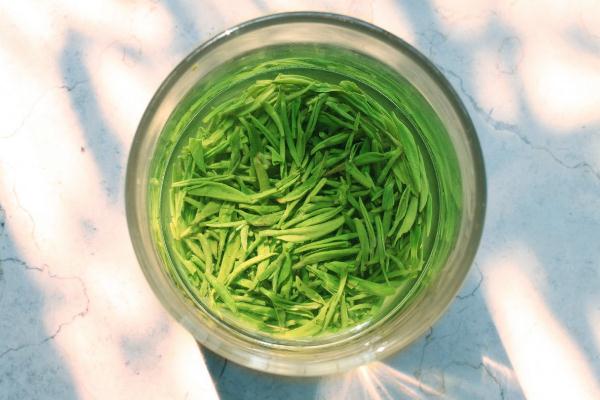 綠茶要一直泡在水里嗎 綠茶要茶水分離嗎 綠茶要一直泡在水里嗎 綠茶要茶水分離嗎