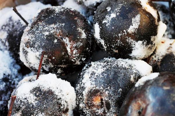 凍梨是用什么梨凍的 凍梨要削皮嗎 凍梨是用什么梨凍的 凍梨要削皮嗎