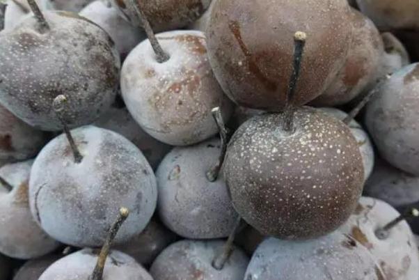 凍梨是用什么梨凍的 凍梨要削皮嗎 凍梨是用什么梨凍的 凍梨要削皮嗎