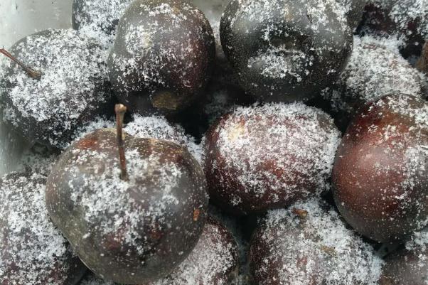 吃凍梨的好處和壞處 吃凍梨前為什么放涼水里 吃凍梨的好處和壞處 吃凍梨前為什么放涼水里