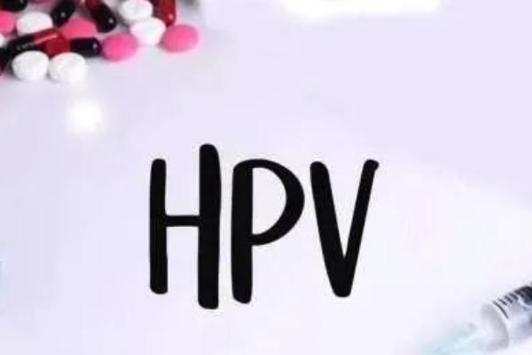 hpv疫苗的價(jià)位是多少 hpv疫苗打了多久不能懷孕 hpv疫苗的價(jià)位是多少 hpv疫苗打了多久不能懷孕